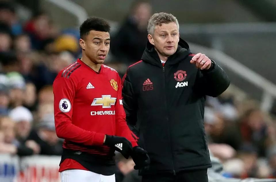 现在不再仅 现在不再仅